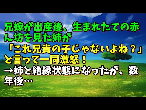 【スカッとひろゆき】【衝撃の事実】兄嫁が出産後、生まれたての赤ん坊を見た姉が「これ兄貴の子じゃないよね？」と言って一同激怒！→姉と絶縁状態になったが、数年後…