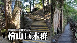 Kuaishan Big Trees Trail ~ Popular forest bathing trail in Guanwu National Forest Recreation Area