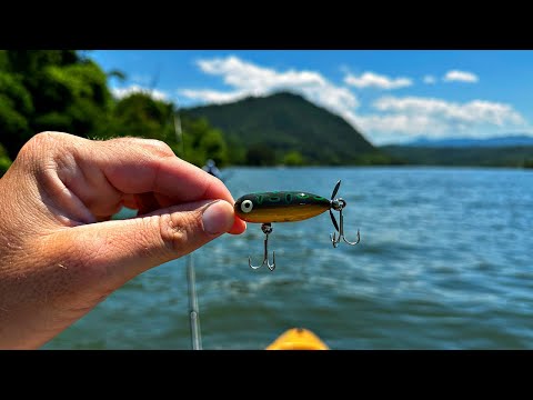 Big Fish on Small Lures!!  Cicada Hatch