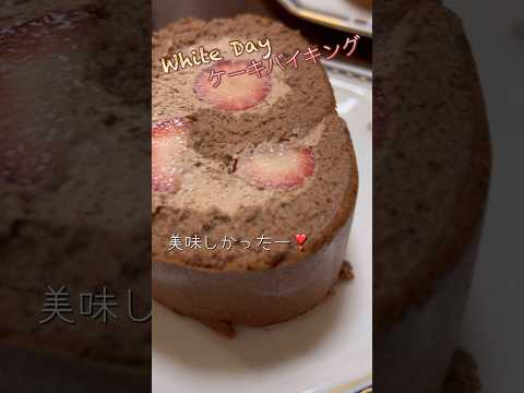 ホワイトデーのケーキバイキング #ホワイトデー #ねこ動画 #ケーキバイキング #ミヤケ #保護猫 #ことねこくらし