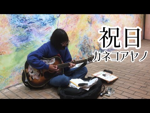 祝日 / カネコアヤノ【cover by 和泉隆宏】