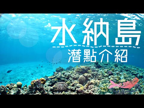 「沖繩潛水」離島《水納島》FUN DIVE休閒潛水、透明度滿分