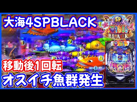 【P大海物語4スペシャルBLACK】移動して1回転！オスイチ魚群が出現しました