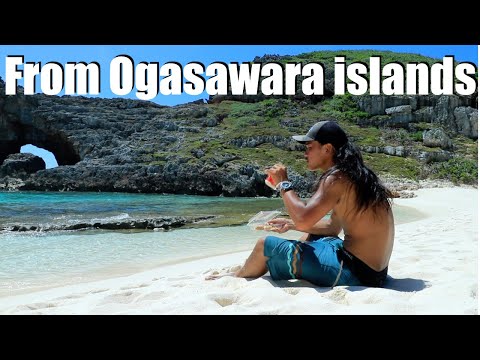 Hello this is from Ogasawara islands!! Wellcome to my youtube channel