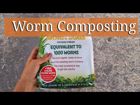 Worm Composting Again! /ミミズコンポスト再開！！地球に優しい堆肥作り