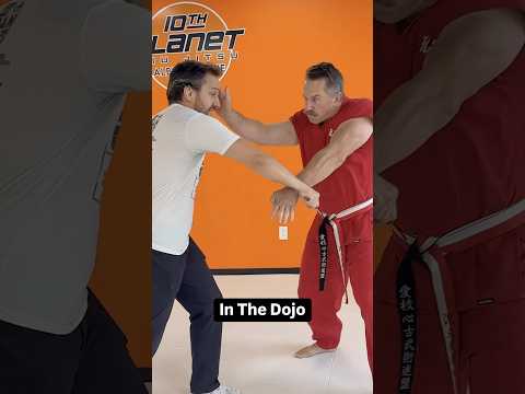 Dojo vs Street: Knife Defense #masterken #ameridote