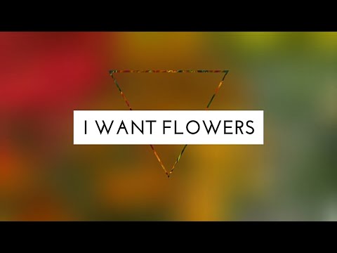 Bridgit Mendler - Flowers (Lyric Video)