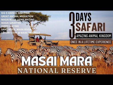 Adventurous Masai Mara Safari Kenya | Once in a lifetime experience