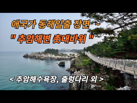 국내여행 # 당일치기 여행 # 효도여행 # 가족 여행 # 해수욕장 # 출렁다리