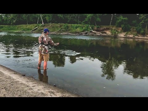 BIG FISH Crushed My Bait in INCHES OF WATER!! (Almost every cast)