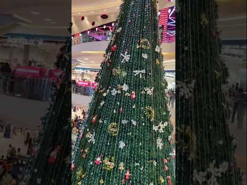 Tallest Christmas Tree|Christmas Tree Decoration #christmastree #lulumall #kerala  #shorts #trending