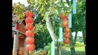 捷運竹圍站-馬偕醫院-妙覺寺-樹梅坑溪步道-嘎嘮别山-忠義山-行天宮-捷運忠義站連走一清  風 登 山 隊。