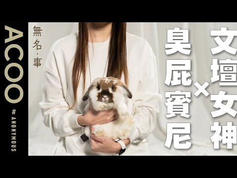 離港移民釀寵物棄養潮　《幻愛》小說作家收養被落下的家兔　留下來的人互相撐住　「同行都係一種力量」｜無名・事｜ACOO