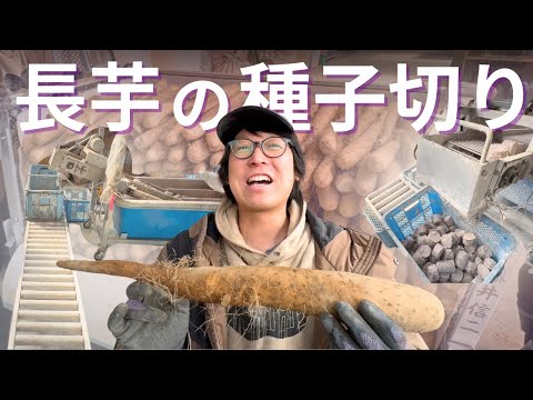 【長芋農家必見⁉︎】どぶ漬けマシーンが快適すぎる！！【part1】