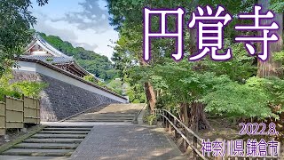 鎌倉散策【円覚寺】2022.8.神奈川県鎌倉市山ノ内