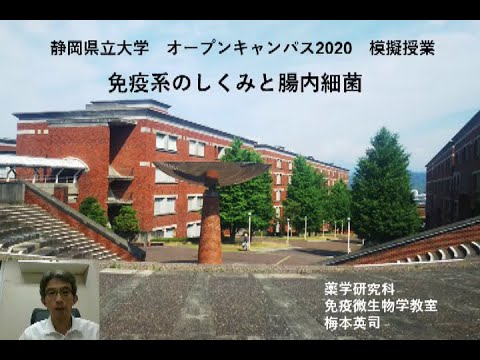 【薬学部】模擬授業 免疫微生物学（梅本英司先生）/ 静岡県立大学