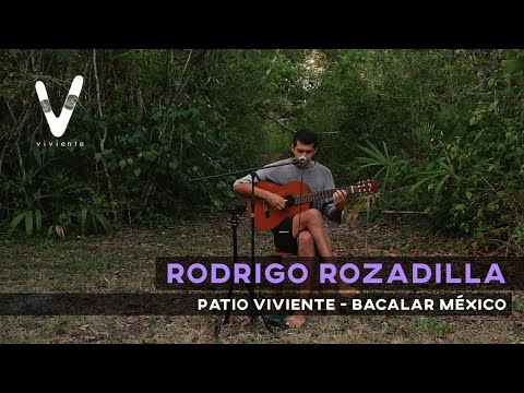 Rodrigo Rozadilla - El Ave - Bacalar, Mexico (Viviente Sessions)