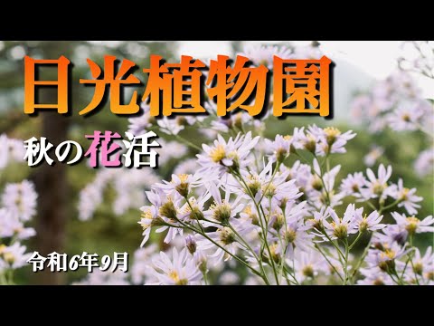 【日光植物園】9月 初秋の花活 秋を感じる花を探しに 栃木県日光市