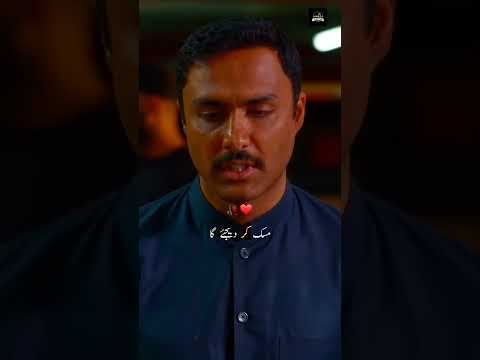 🥀 Is wajood k sth bht saha ha many best dialogue #parizaad #hamzawrites #pakistanidrama #shorts