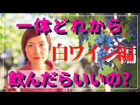 一体どれから飲んだらいいの？｜白ワイン編｜知るべき白ワインの種類