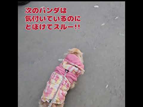 第69回こいつがミルヒの天敵だ