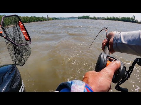 The CRAZIEST TOURNAMENT I've Ever Fished!! (Catfishing)