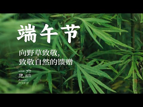 端午,向野草致敬,致敬自然的馈赠