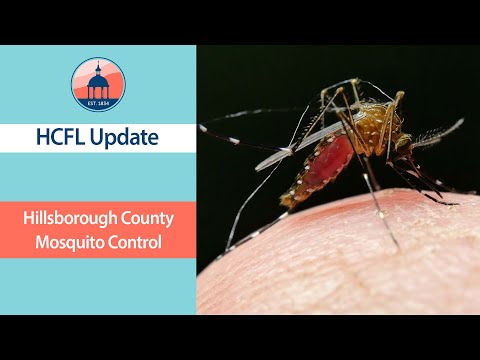 Hillsborough County Mosquito Spraying After Hurricane Milton