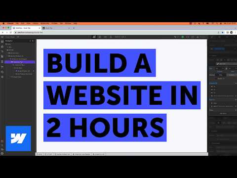 Free Webflow Tutorial | Create Your First Website from Scratch with Dan Scott!