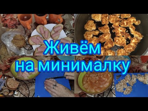 Живём на минималку . 100 рублей в день .