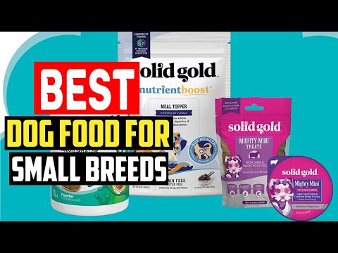 ✅Top 5 Best Dog Food for Small Breeds in 2023