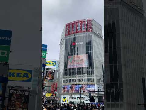 渋谷で「君がおじいちゃんあたしがおばあちゃん」の屋外広告が掲載中🩷✨3月14日まで放映されてるよ！見つけたら教えてね💡#コレサワ #released #anime