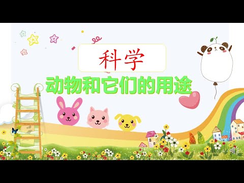 学前班科学 （动物和它们的用途）Animals and their uses