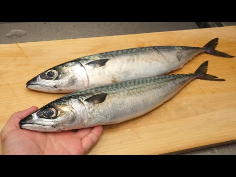 サバの捌き方と塩焼き（骨抜きして食べやすい）