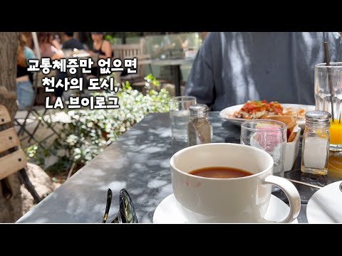 방학맞이 푹풍 업로드 미국 LA V-Log - 무려 1년치 영상, 콘서트보고 외식하고 산에가는 일상