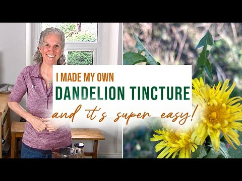 Make dandelion tincture - it's SUPER EASY 😉