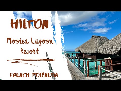 "Hilton Moorea Lagoon Resort Review | Ultimate Luxury Escape in French Polynesia"