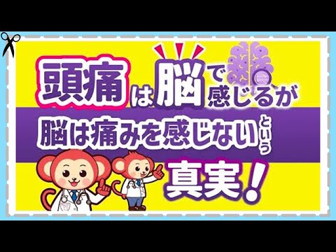 脳は痛みを感じない！【頭痛】のメカニズム