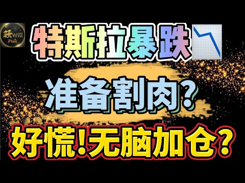 美股投资｜特斯拉TSLA暴跌准备割肉?点位更新.半导体NVDA AMD没了?个股分析SPY QQQ IWM AAPL GOOG AMZN｜美股趋势分析｜美股股票｜美股2024