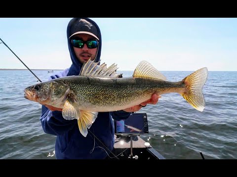 Spring Walleye Beatdown on NEW Bladed Walleye Jig