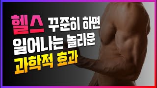 헬스를 반드시 해야 하는 이유와 효과 6가지 - 웨이트 장점 피지크 변화 동기부여 자극 자기계발