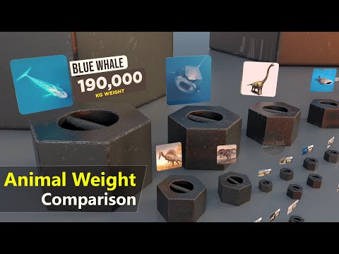 Animal Weight Comparison |  Heaviest Animal | Monster mass | Extinct animal Mass