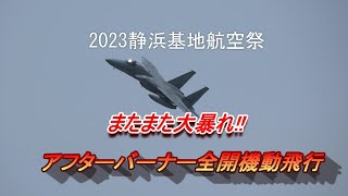 岐阜基地から飛行開発実験団によるF-15機動飛行が凄すぎる 静浜基地航空祭2023