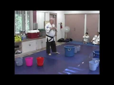 Budoshin Jujitsu: Summer Camp 2007