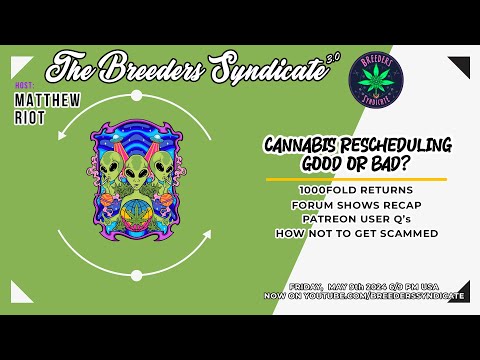 IS CANNABIS RESCHEDULING GOOD? + Forum Episodes Recap, Patreon Q&A How to not get scammed S11 E06