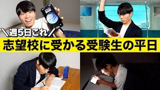 【週5日これ】志望校に合格する受験生の平日ルーティン【勉強】