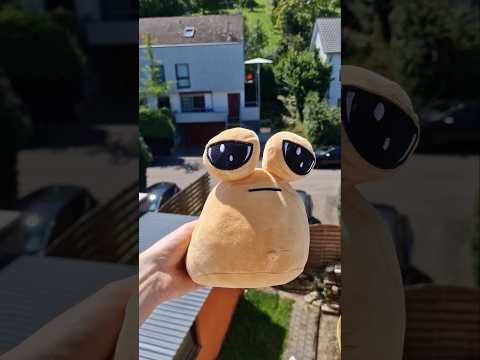 Pou vs Stone 😂💩 #pou #plushie #plushtoy