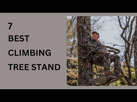 Top 7 Best Climbing Tree Stands for 2024 – Ultimate Hunting Comfort and Safety!