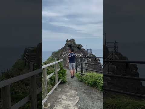 #Shizuoka is so underrated. Obsessed with the area, especially #Izu , its #geopark and #beaches 🏝️