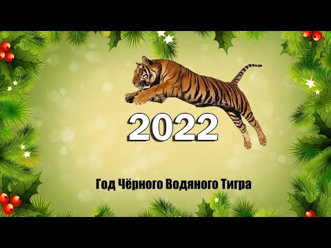 Как правильно встретить год Тигра /2022, чтобы он принёс счастье и удачу